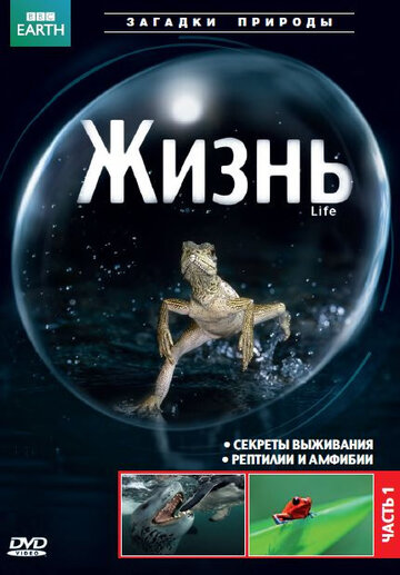 BBC: Жизнь - Рыбы