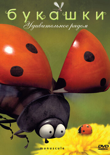 Букашки - Стрекозы